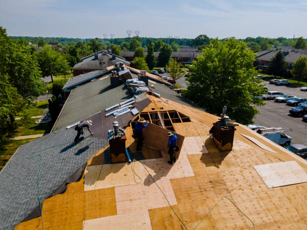 Best Flat Roof Repair Services  in Lasalle, IL