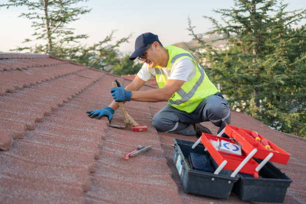 Quick and Trustworthy Emergency Roof Repair Services in Lasalle, IL